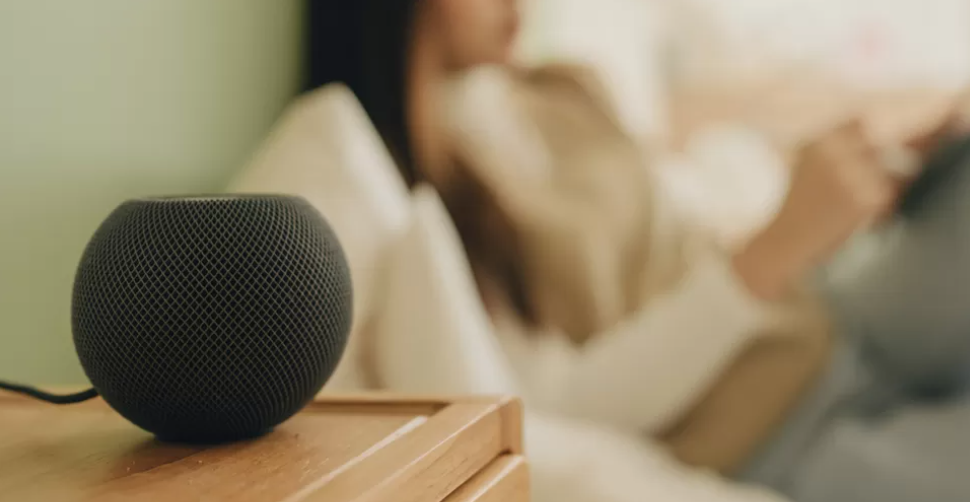 MPs Alarmed by Abuse Enabled by Baby Monitors and Smart Speakers