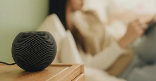 MPs Alarmed by Abuse Enabled by Baby Monitors and Smart Speakers