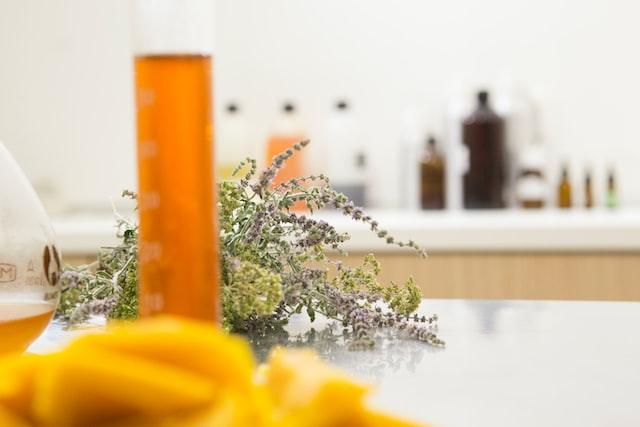 Glassware with amber liquid, fresh herbs, and citrus peel on a laboratory counter.